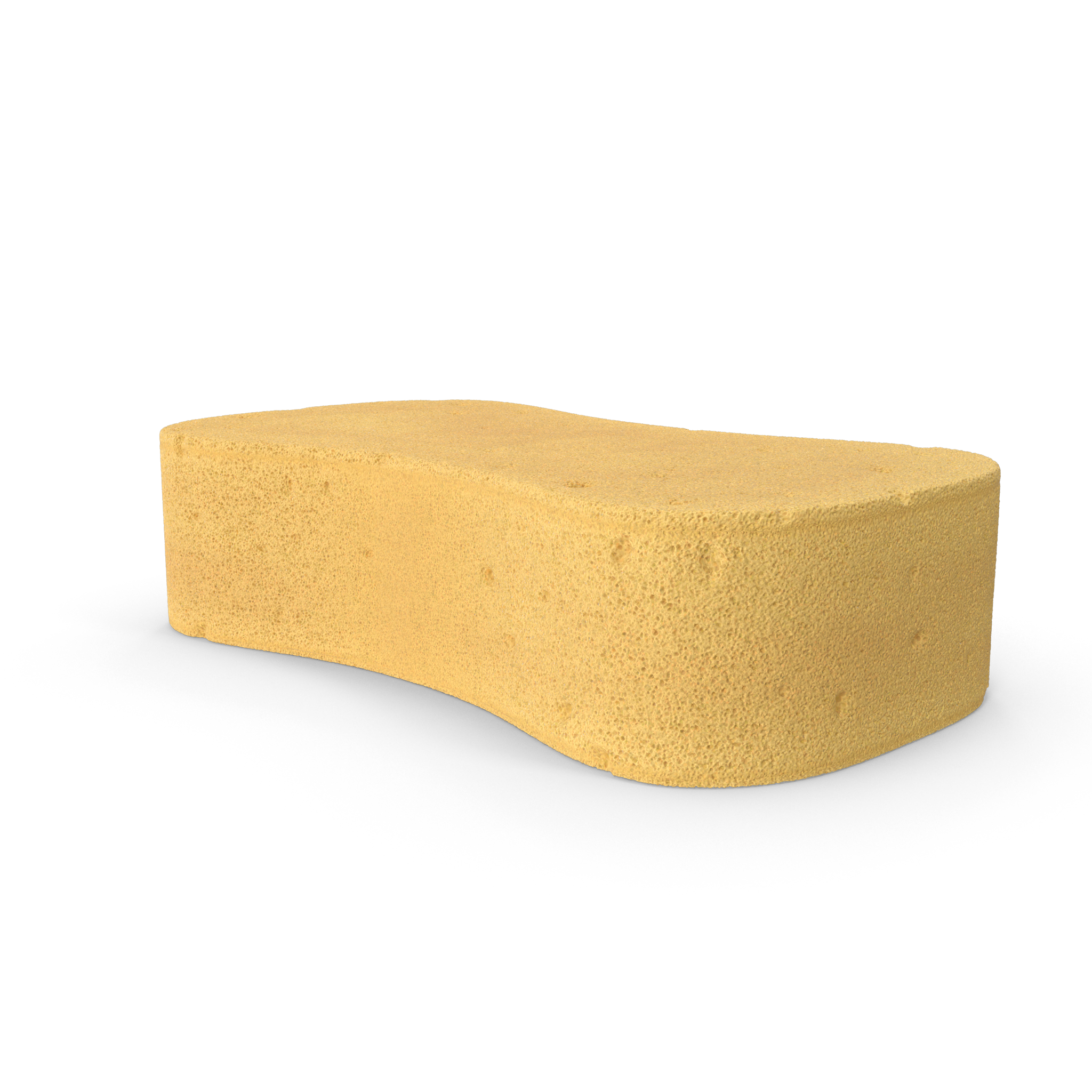 Jumbo Sponge